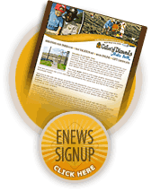 ENews Signup - Click here to register for the Crater of Diamonds State Park enewsletter.