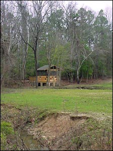 Wildlife observation blind